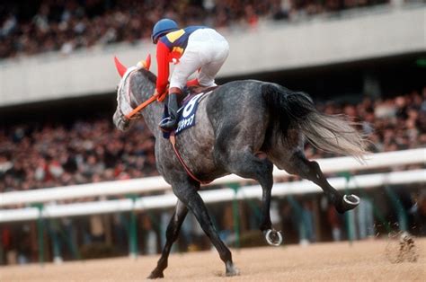 2002 馬|有馬記念｜2002年12月22日